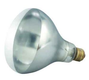 EHL-BW- Heat Lamp Bulb