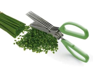 120806- Herb Scissors