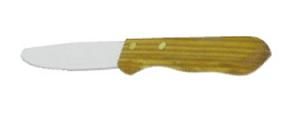220605 -  9" Colony Steak Knife