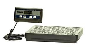FG401088- Receiving Digital Scale